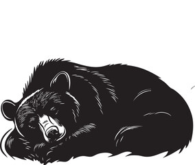 illustration of a bear sleeping