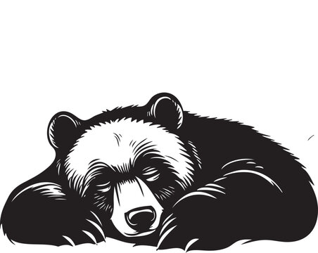 sleeping bear vector