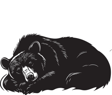 illustration of a bear sleeping
