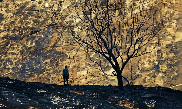 Silhouette of person by bare tree against barren landscape