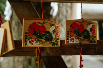 Ema with dragon pattern, wooden pray card that made from wood, in Zeniarai Benzaiten Ugafuku Jinja, Zeniarai Benten, Kamakura, Japan
