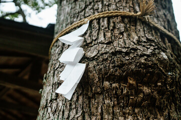 Shinto Shide, A close-up of a tree trunk with japanese zig-zag shaped paper streamers tied on rope.