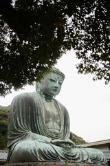 Kamakura Daibutsu statue in Japan. The Great Buddha of Kamakura.