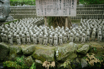 Hundreds of small, weathered stone Jizo statues line the base of a tree, Kamakura, Japan