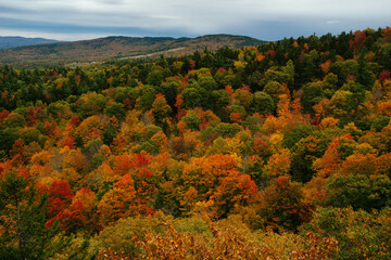 Vibrant autumn hues in White Mountain National Forest of New Hampshire. Colorful fall foliage.