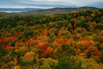 Vibrant autumn hues in White Mountain National Forest of New Hampshire. Colorful fall foliage.