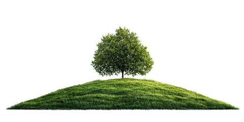 Panorama of a solitary tree on a grassy hill surrounded by lush greenery in a serene natural setting