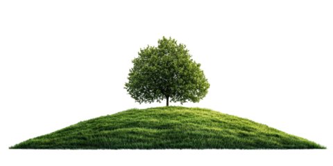 Panorama of a solitary tree on a grassy hill surrounded by lush greenery in a serene natural setting