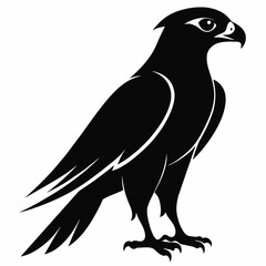 eagle silhouette isolated on white