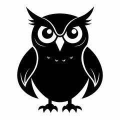 owl on white background