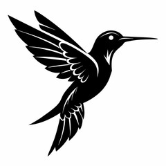 black and white hummingbird