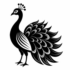 Fototapeta premium illustration of a peacock