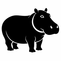 hippopotamus isolated on white