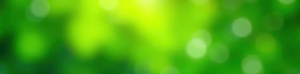Obraz premium Blurred green leaf and abstract blob, nature backdrop , graphic, blur