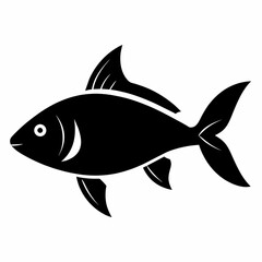 fish on a white background