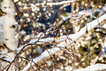 Winter time