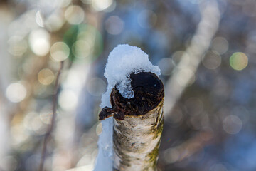 Winter time in Paltinis, Romania