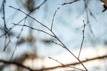 Winter time