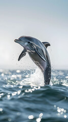 Fototapeta premium Playful Dolphin Leaping from Sparkling Waves Under Clear Sky: A Marvel of Marine Life and Nature's Beauty