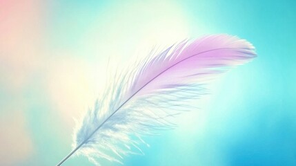 Soft Delicate Feather on Pastel Background with Dreamy Light Effect
