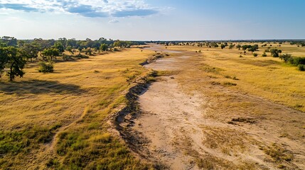 High-Angle Photo: Sun-Drenched Savannah Riverbed Gently Curves Through Golden Grasslands. AI Generated