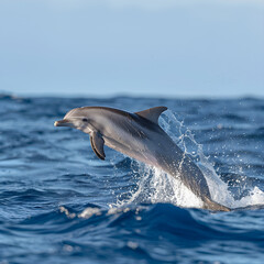 Fototapeta premium Playful Dolphin Leaping from Sparkling Waves Under Clear Sky: A Marvel of Marine Life and Nature's Beauty