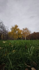 autumn in the park