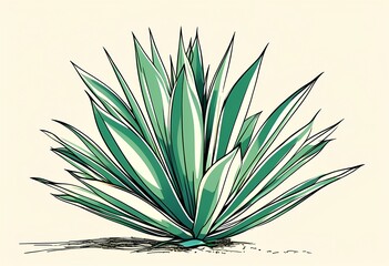agave