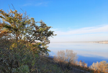 Fototapeta premium trees on the river and clouds in the sky