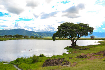 Village in Tanzania, scenic landscpape of Africa.