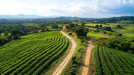 Stunning Aerial Photo: Gently Winding Road Through Lush Green Tea Plantations. AI Generated