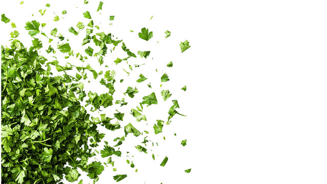 A pile of fresh, bright green chopped coriander leaves on a white background, cut out
