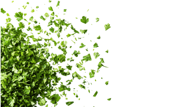 A pile of fresh, bright green chopped coriander leaves on a white background, cut out