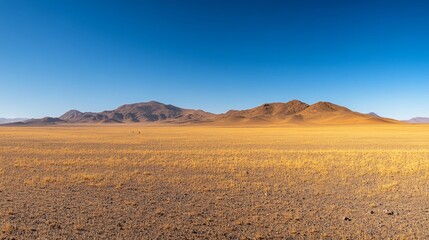 Fototapeta premium Vast Desert Landscape Under a Clear Blue Sky