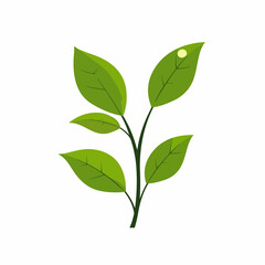 Icon vector illustration of a plant with leaves symbol, suitable for nature designs