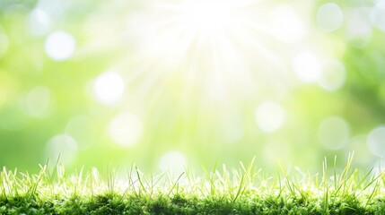 Obraz premium Bright Natural Background with Green Grass and Sunlight Shining Through