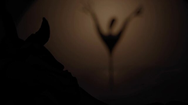 belly of a woman