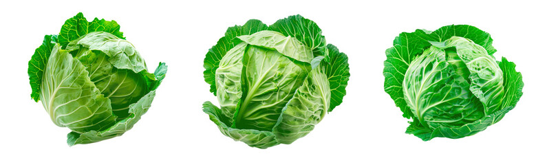 Fototapeta premium Set of cabbage, isolated on transparent background. PNG element.