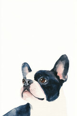 background dog, A watercolor illustration of a French Bulldog, showcasing its distinctive features and expressive eyes against a plain background.