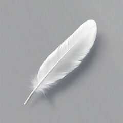 A white feather is shown on a grey background