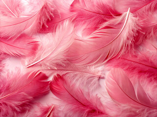 Fototapeta premium pink feathers background