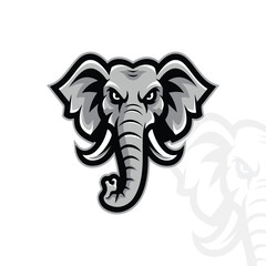 Bold and Fierce Elephant Head Logo in Black and White for Sports Teams and Wildlife Branding,Modern Vector Mascot Design Featuring a Powerful Elephant Head with Tusk Details