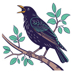 A gleeful blackbird singing on a branch with its beak wide open, Illustrator Artwork