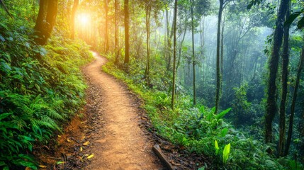 Fototapeta premium Winding Path Through Lush Forest with Soft Light