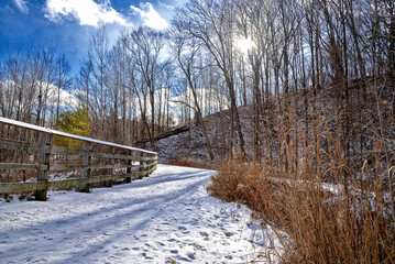 Footpath covering with snow in the park with lens flare