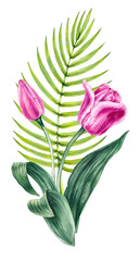 Watercolor tulip flower bouquet. Flower bouquet with tulips. Blooming bouquet for invitations, cards, printed products and packaging