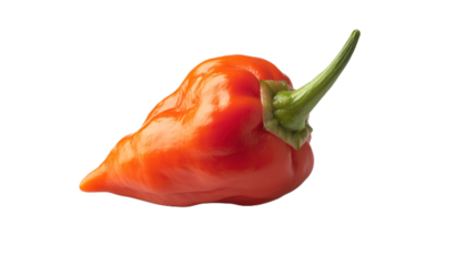 Carolina Reaper chili pepper showcasing intense heat with its twisted, gnarled texture against a stark white background