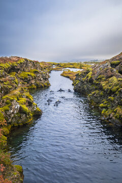 Snorkelers explore Silfra, the crystal-clear fissure between tectonic plates in Iceland&rsquo;s &THORN;ingvellir National Park.