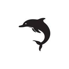 Dolphin Leaping