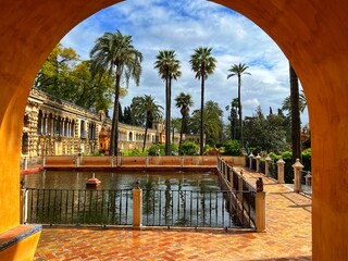 trees country Travel photography of old town of Seville, Spain 